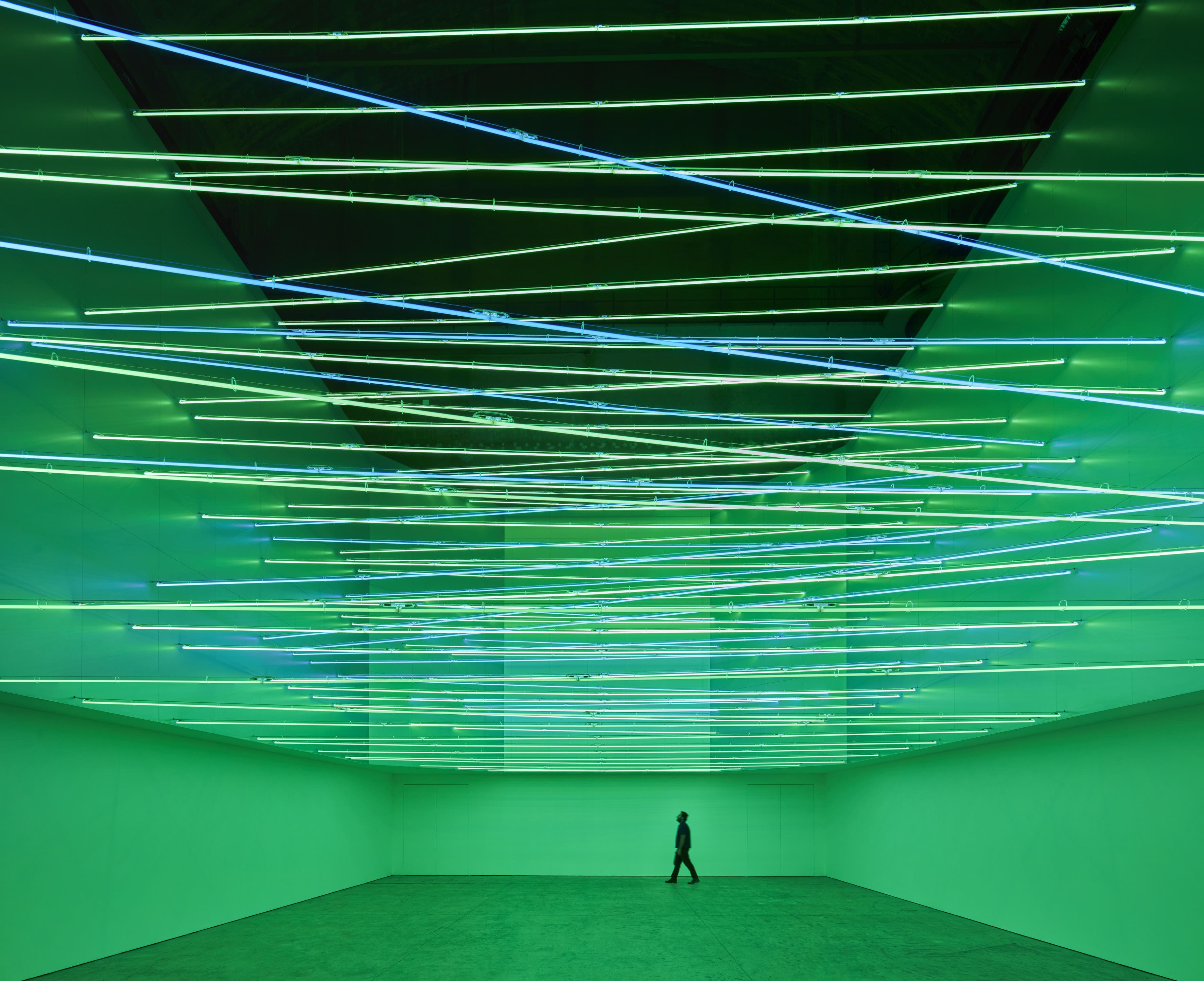 Contemporary art exhibitions